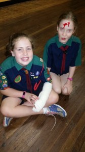 Some injured penguins