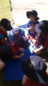 WP_20150905_12_03_04_Pro