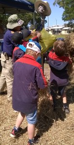 WP_20150905_12_40_11_Pro