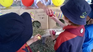 WP_20150905_13_58_39_Pro