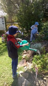 WP_20150912_10_10_42_Pro