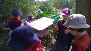 WP_20150912_10_20_52_Pro